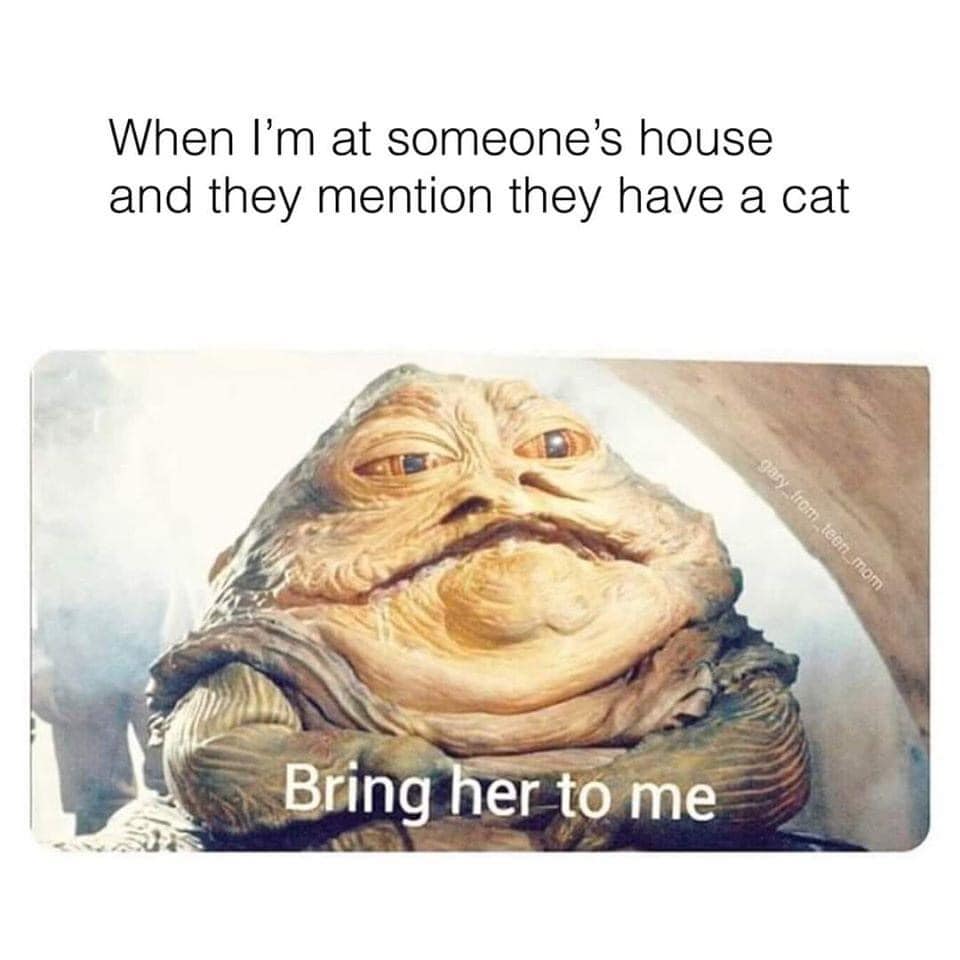 The meme is a humorous image featuring a character from the Star Wars franchise, Jabba the Hutt, with a caption that says "When someone mentions they have a cat". The image is likely a photo of Jabba's face, which is known for its distinctive appearance and gruff demeanor. The caption is a play on the idea that Jabba is a villainous character who might be interested in cats, but the humor comes from the absurdity of the situation.